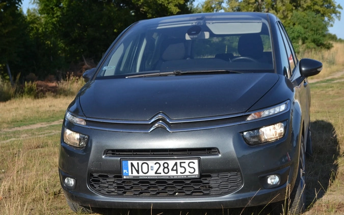 Citroen C4 Picasso cena 38000 przebieg: 205000, rok produkcji 2015 z Brodnica małe 121